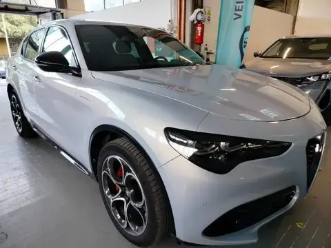 Annonce ALFA ROMEO STELVIO Diesel 2024 d'occasion 