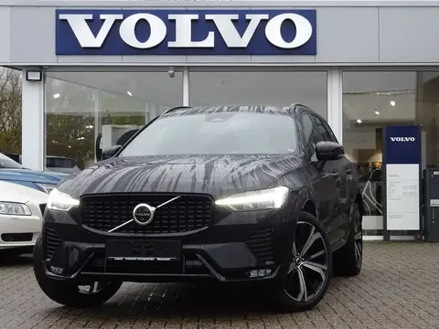 Used VOLVO XC60 Petrol 2024 Ad 