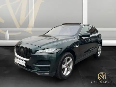 Used JAGUAR F-PACE Diesel 2018 Ad 