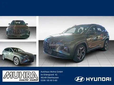 Annonce HYUNDAI TUCSON Hybride 2024 d'occasion 