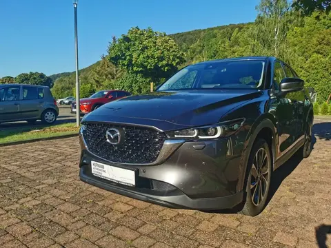 Used MAZDA CX-5 Petrol 2023 Ad 