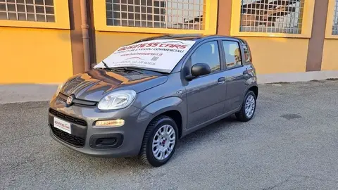 Annonce FIAT PANDA Essence 2020 d'occasion 