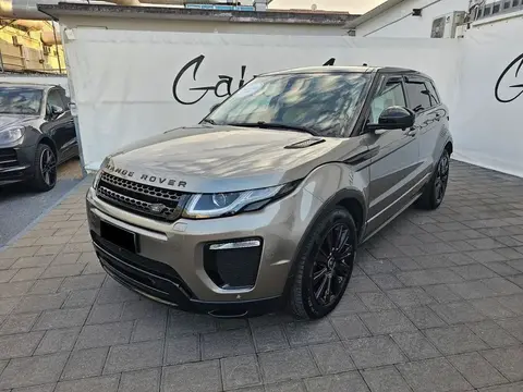 Used LAND ROVER RANGE ROVER EVOQUE Diesel 2019 Ad 