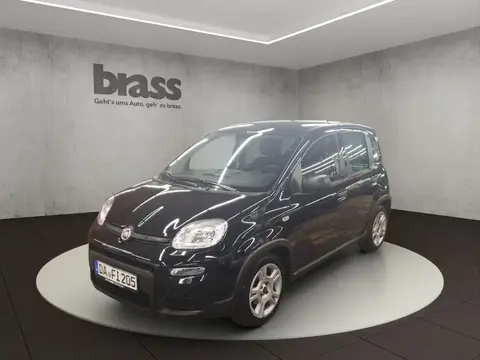 Annonce FIAT PANDA Essence 2024 d'occasion 