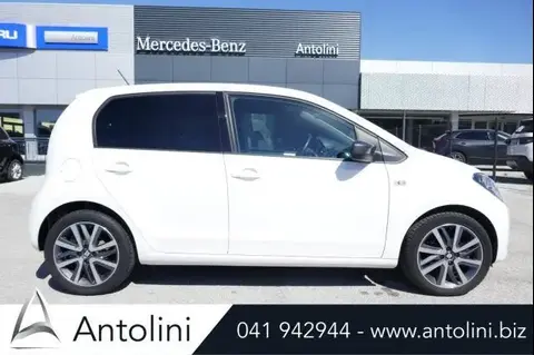 Used SEAT MII Petrol 2019 Ad 