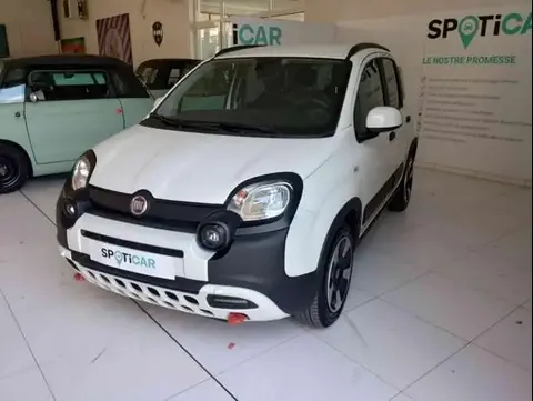 Annonce FIAT PANDA Hybride 2023 d'occasion 