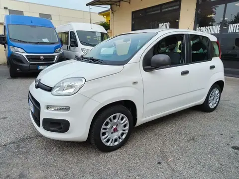 Used FIAT PANDA Petrol 2018 Ad 