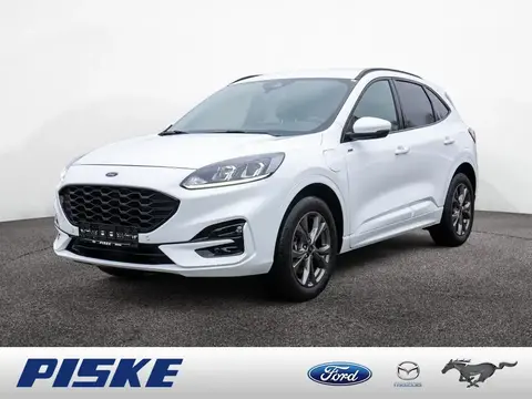 Used FORD KUGA Hybrid 2021 Ad 