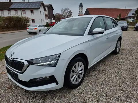 Used SKODA SCALA Petrol 2023 Ad 