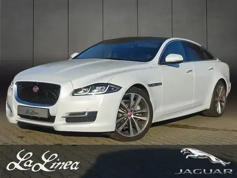 Used JAGUAR XJ Petrol 2018 Ad 