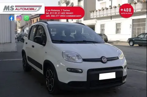 Used FIAT PANDA Hybrid 2022 Ad 