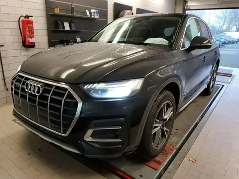 Used AUDI Q5 Hybrid 2021 Ad 