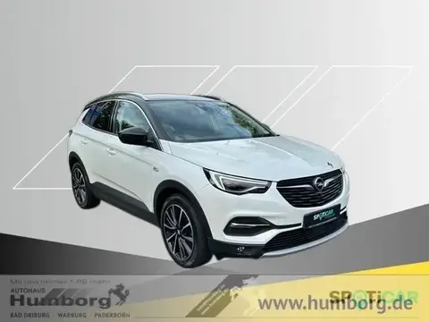 Annonce OPEL GRANDLAND Essence 2021 d'occasion 