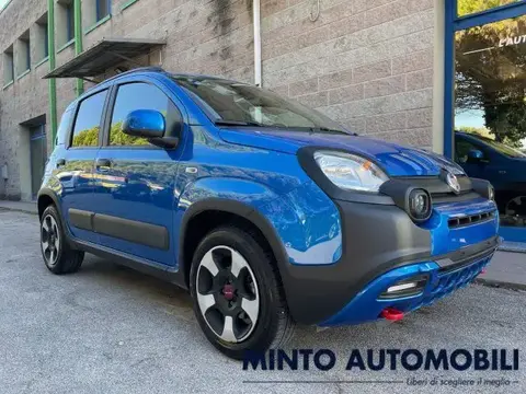 Annonce FIAT PANDA Hybride 2024 d'occasion 