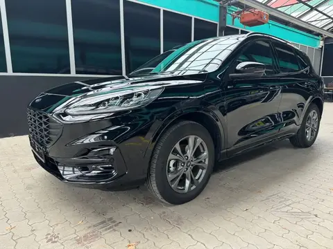 Used FORD KUGA Hybrid 2023 Ad 