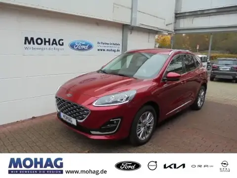 Annonce FORD KUGA Hybride 2022 d'occasion 