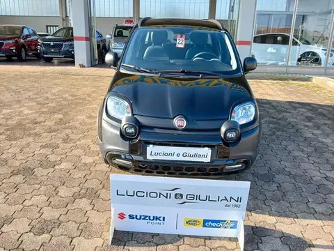 Annonce FIAT PANDA Hybride 2022 d'occasion 