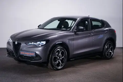 Annonce ALFA ROMEO STELVIO Essence 2024 d'occasion 