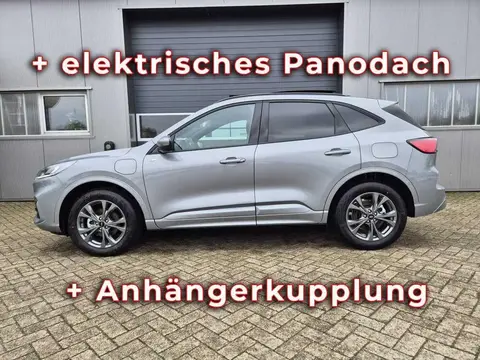 Used FORD KUGA Hybrid 2024 Ad 