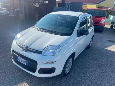 Used FIAT PANDA Petrol 2020 Ad 