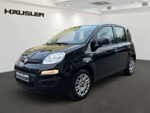 Used FIAT PANDA Petrol 2020 Ad 