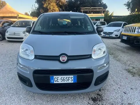 Used FIAT PANDA Hybrid 2024 Ad 