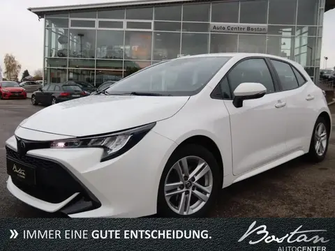 Used TOYOTA COROLLA Petrol 2019 Ad 