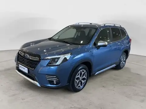 Used SUBARU FORESTER Hybrid 2022 Ad 