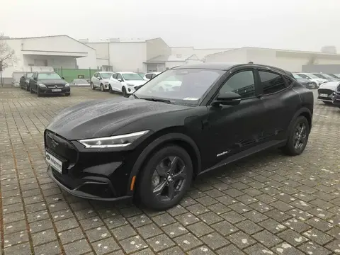 Used FORD MUSTANG Not specified 2022 Ad 