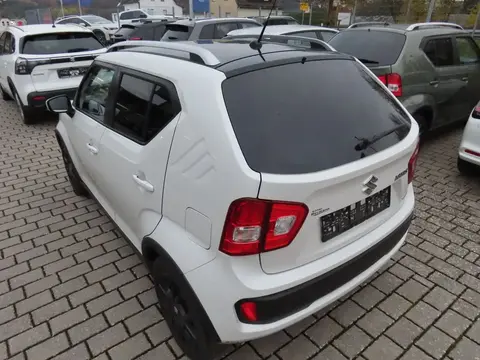 Used SUZUKI IGNIS Petrol 2019 Ad 