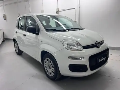 Used FIAT PANDA Petrol 2018 Ad 