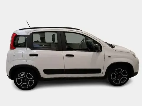 Used FIAT PANDA Hybrid 2022 Ad 