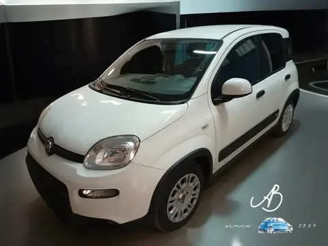 Used FIAT PANDA Hybrid 2024 Ad 