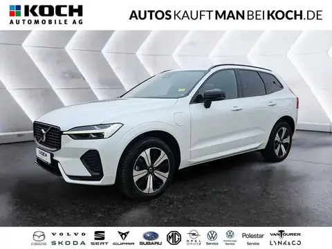 Used VOLVO XC60 Hybrid 2023 Ad 