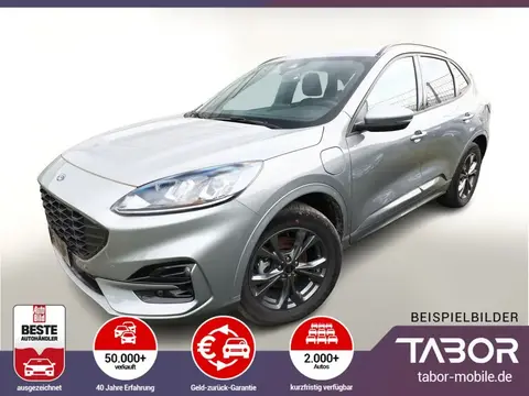 Used FORD KUGA Hybrid 2023 Ad 