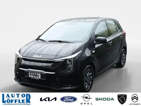 Used KIA PICANTO Petrol 2024 Ad 