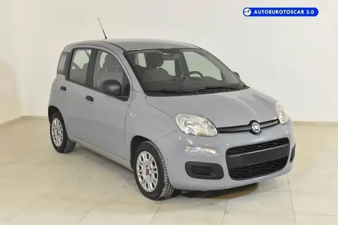 Used FIAT PANDA Hybrid 2022 Ad 