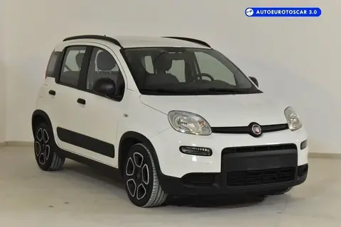 Used FIAT PANDA Hybrid 2022 Ad 