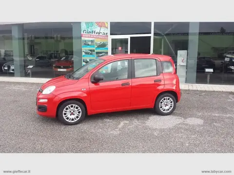 Used FIAT PANDA Hybrid 2021 Ad 