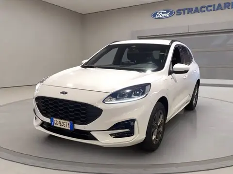 Used FORD KUGA Hybrid 2021 Ad 