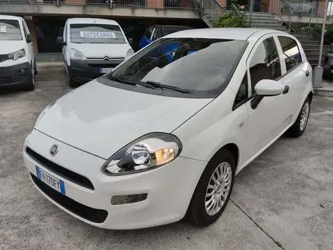 Used FIAT PUNTO Diesel 2017 Ad 