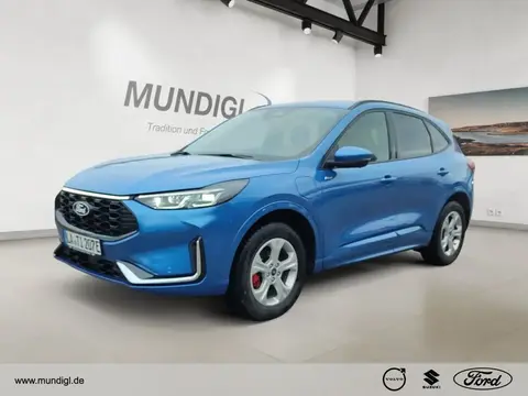 Annonce FORD KUGA Hybride 2024 d'occasion 