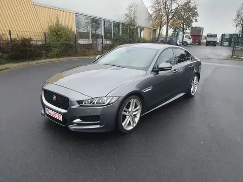 Annonce JAGUAR XE Diesel 2016 d'occasion 