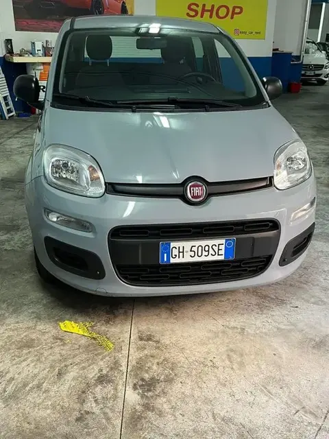 Annonce FIAT PANDA Hybride 2022 d'occasion 