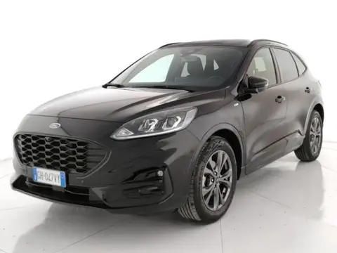 Used FORD KUGA Hybrid 2021 Ad 