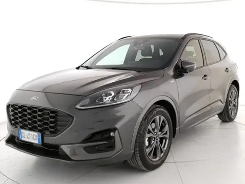 Used FORD KUGA Hybrid 2022 Ad 