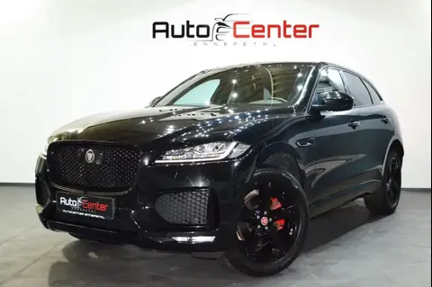 Used JAGUAR F-PACE Petrol 2018 Ad 