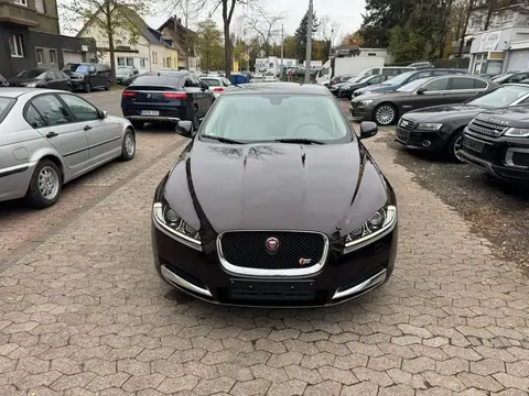 Used JAGUAR XF Diesel 2015 Ad 