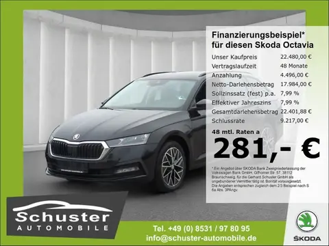 Annonce SKODA OCTAVIA Diesel 2021 d'occasion 