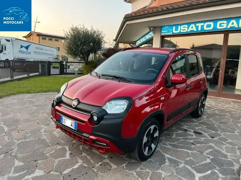 Annonce FIAT PANDA Hybride 2024 d'occasion 